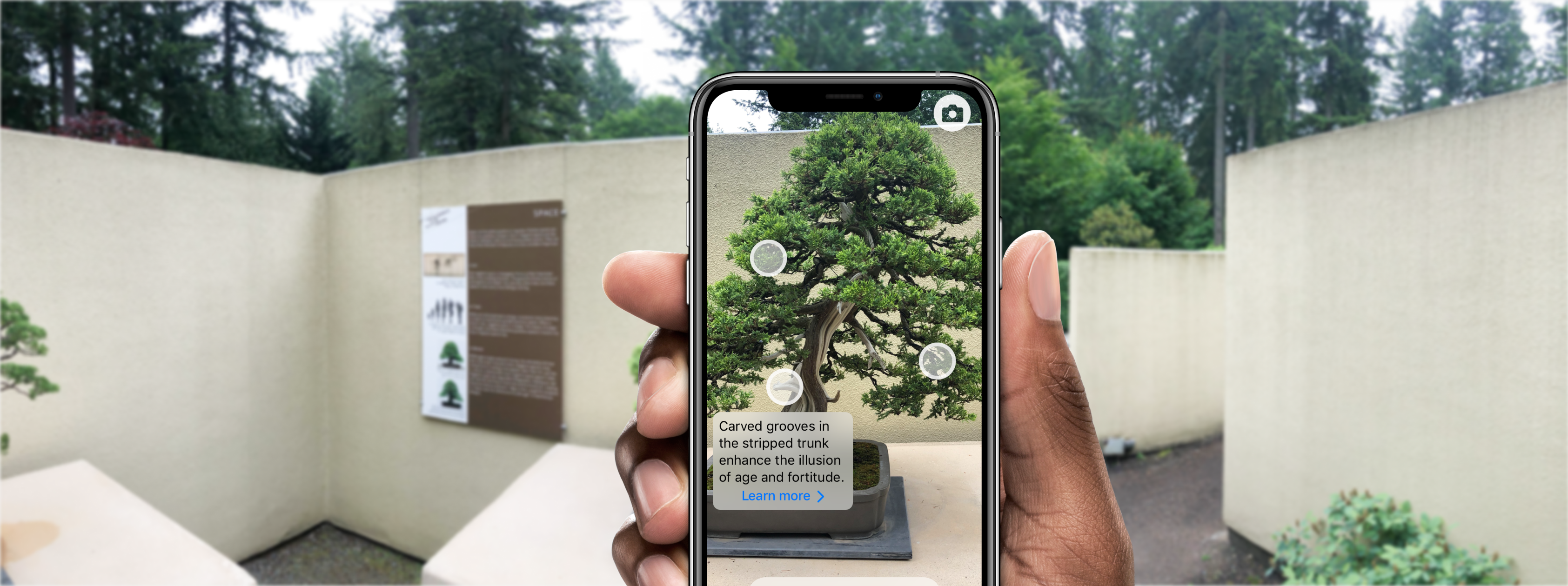 Image with device mockup at bonsai museum.